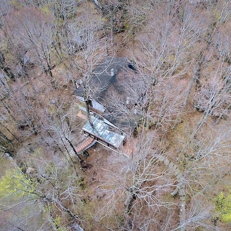 La Corteccia Del Faggio Monte Amiata Bagian luar foto